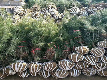 1639014420188495.jpg 0000.jpg