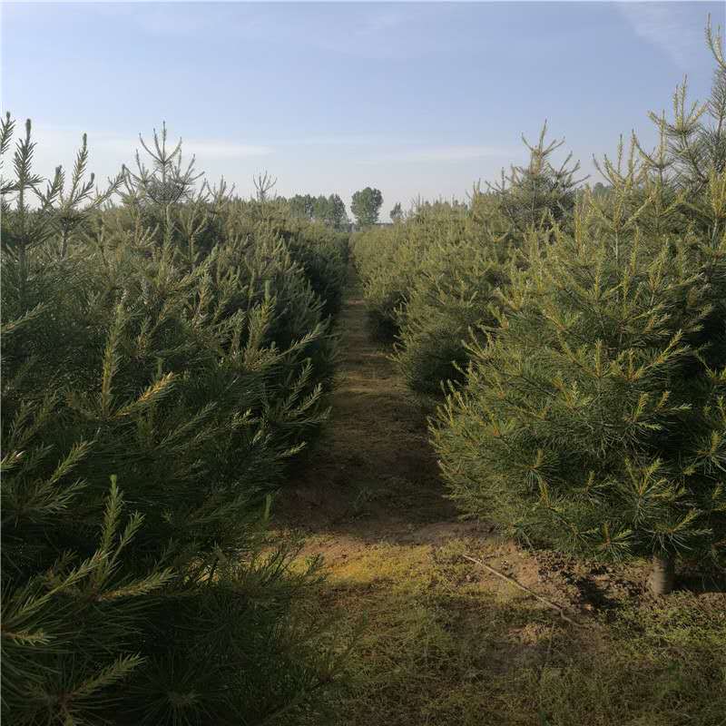 1639188740170486.jpg 微信圖片_20211204155304.jpg