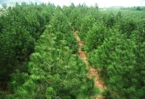 1639533044916529.jpg 1633399915(1).jpg